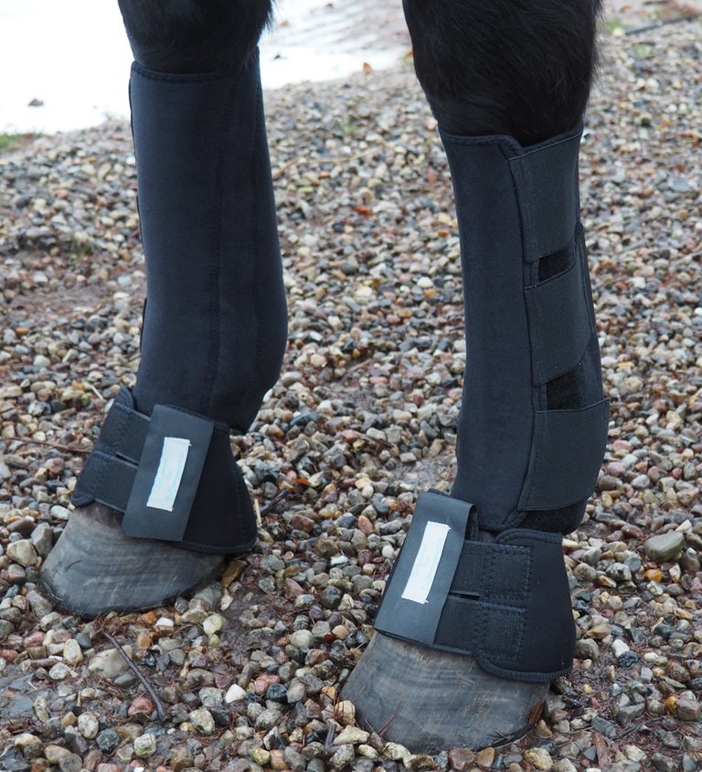 Be Balanced Therapie-Hufglocken | Neopren