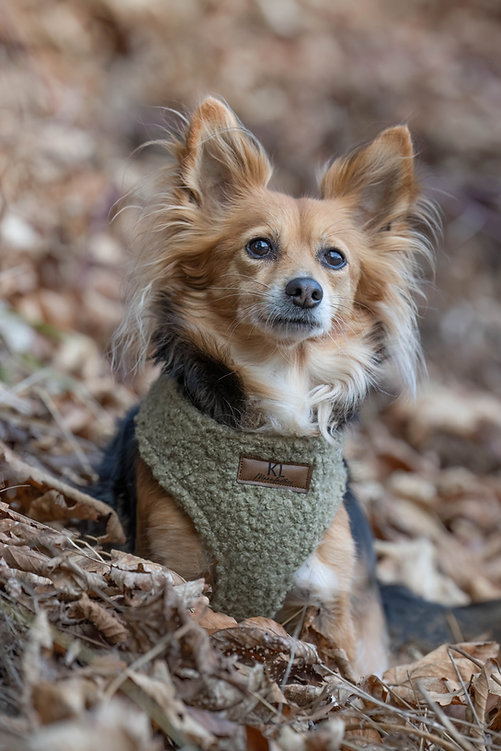 Hundegeschirr aus Stoff: ESSENTIAL BOUCLÉ "Kaki", Größe M