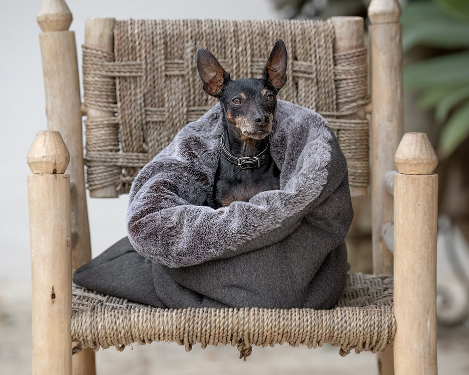 Hunde Kuschelsack