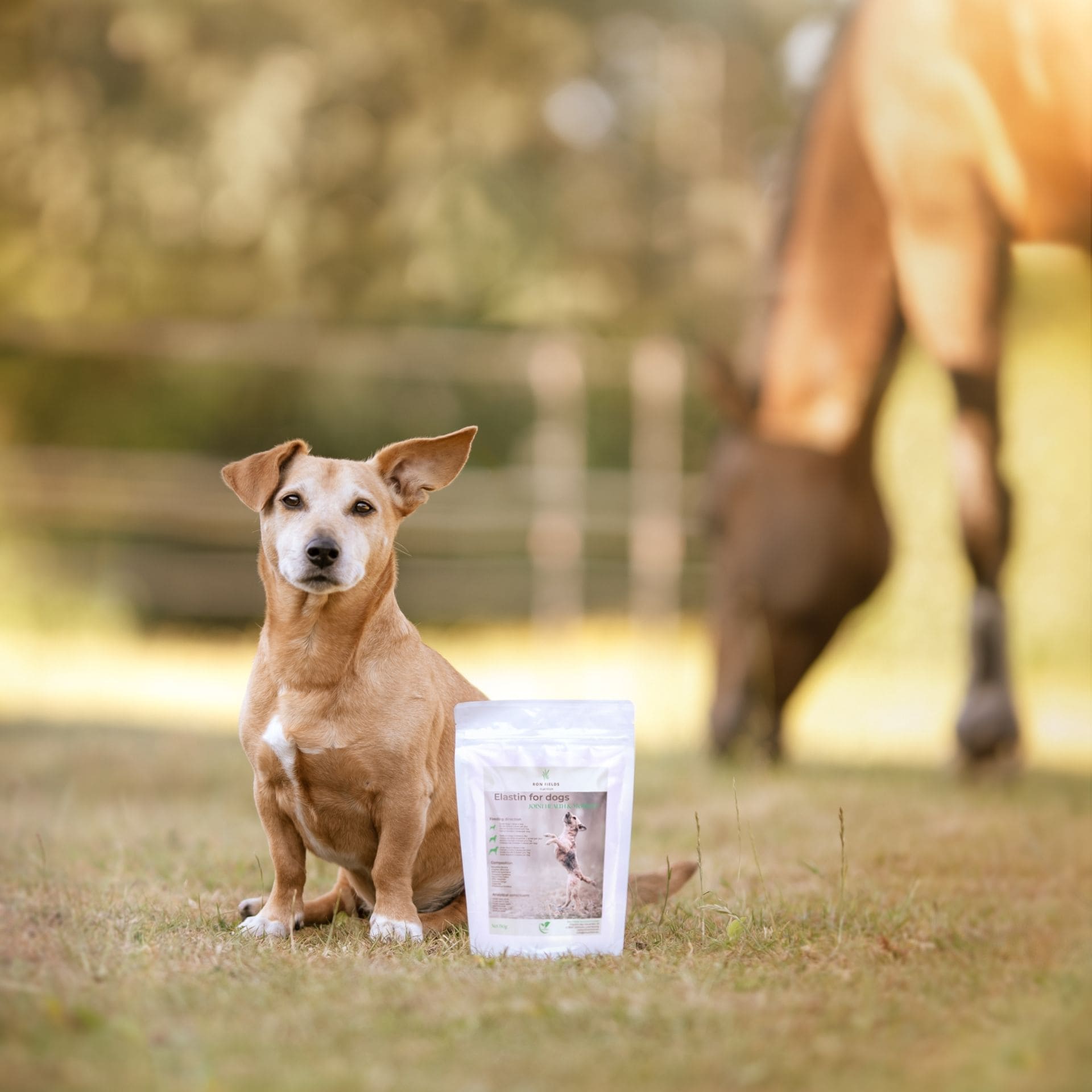 Elastin - Natürliche, ayurvedische Gelenkergänzung für Hunde