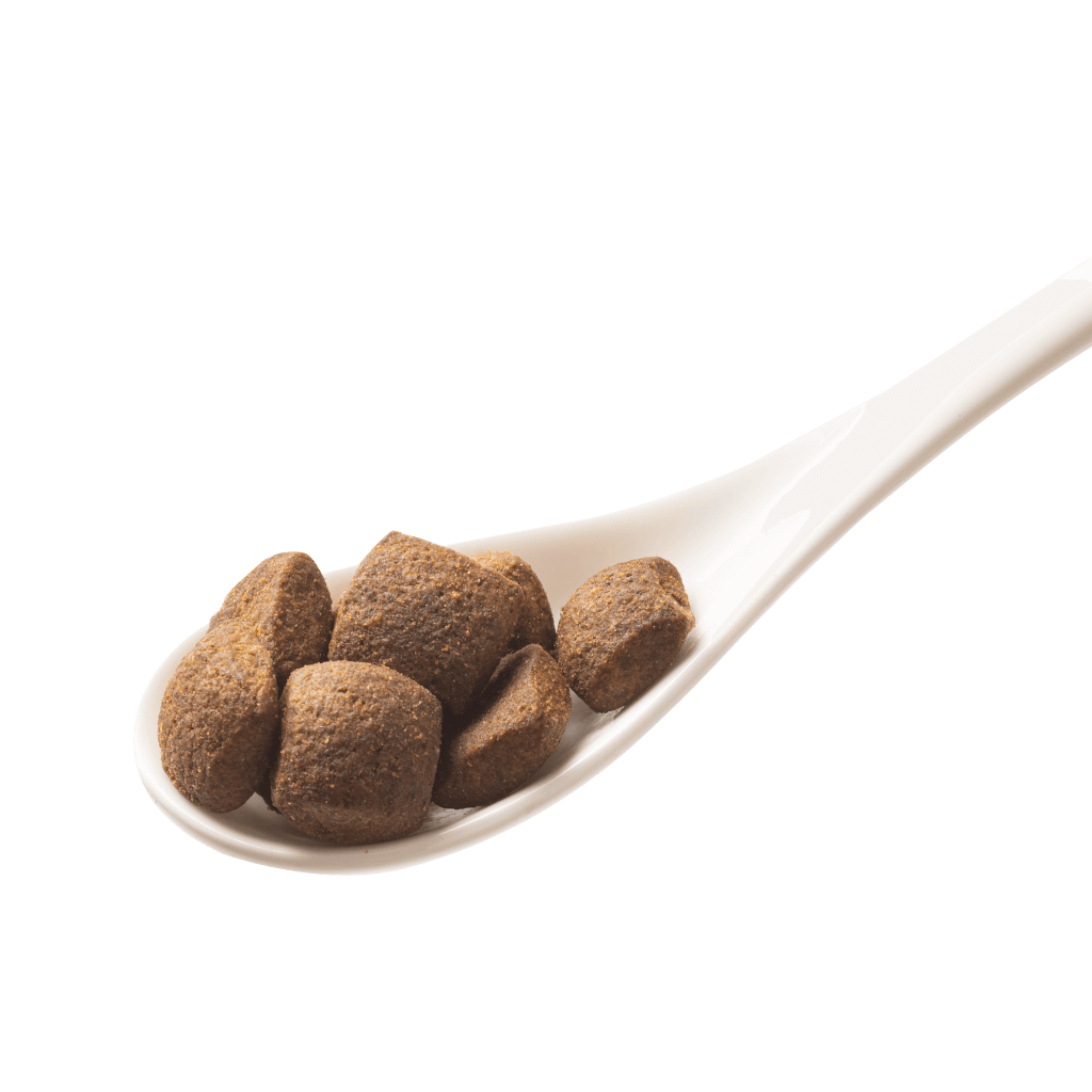 NATURAL TASTE - Lamm