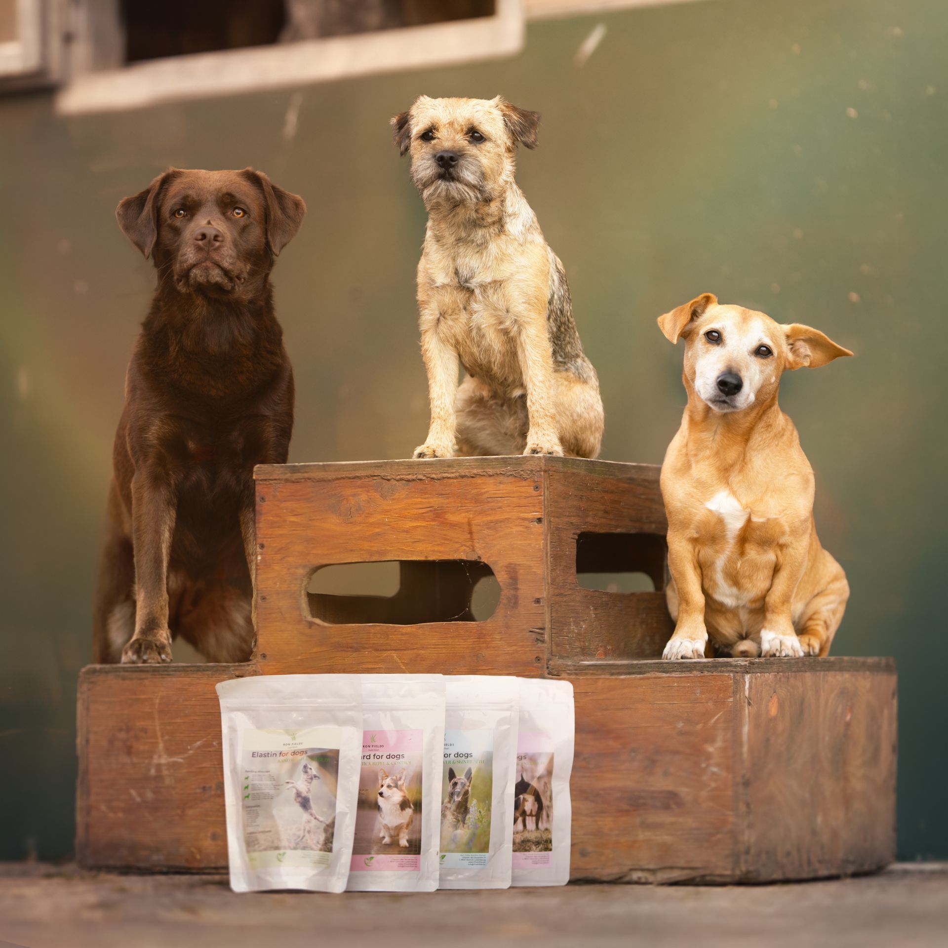 Elastin - Natürliche, ayurvedische Gelenkergänzung für Hunde