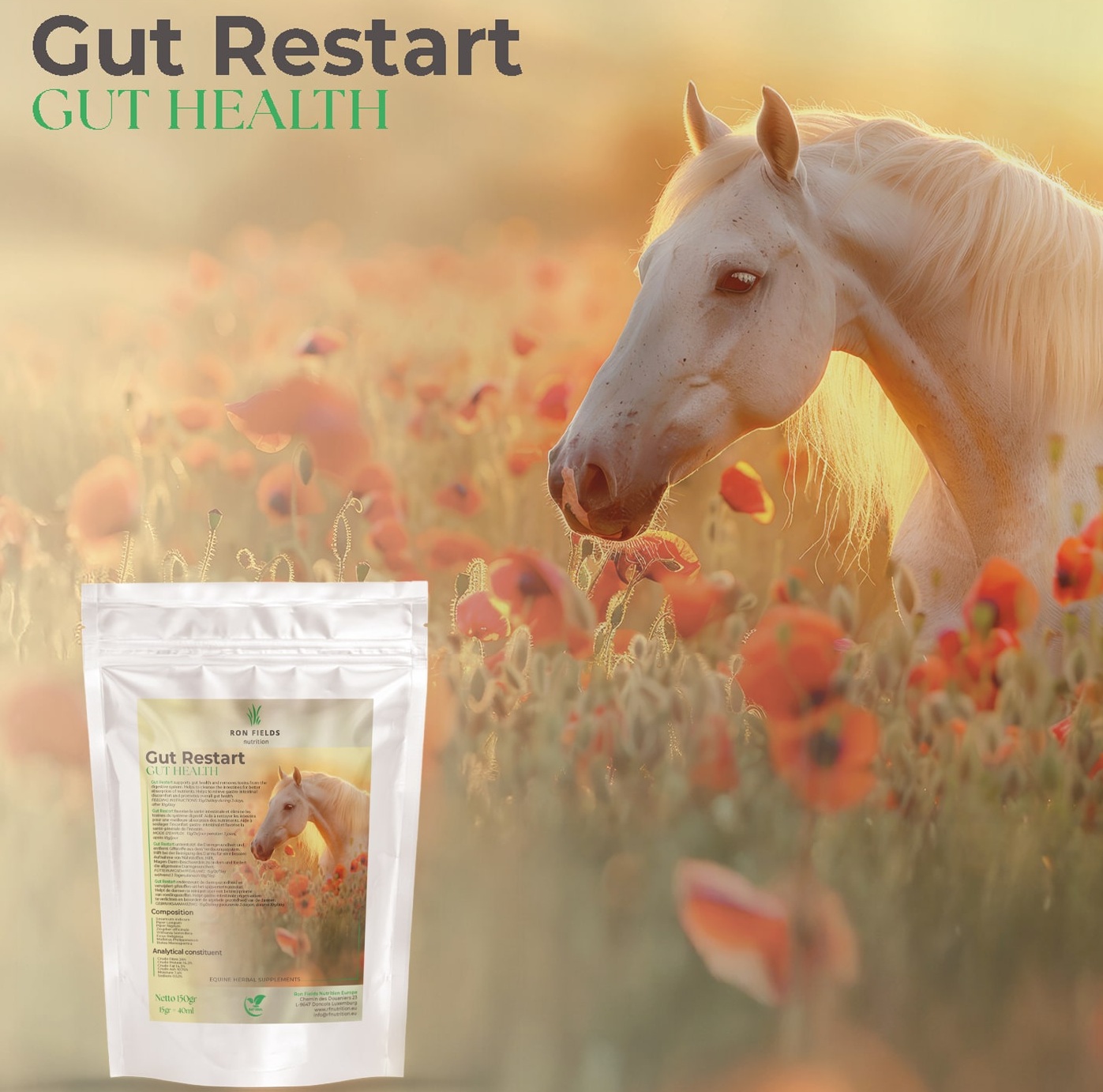 Gut Restart - Natürliche, ayurvedische Verdauungsunterstützung für Pferde