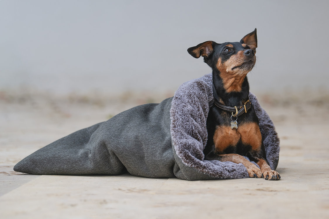 Hunde Kuschelsack