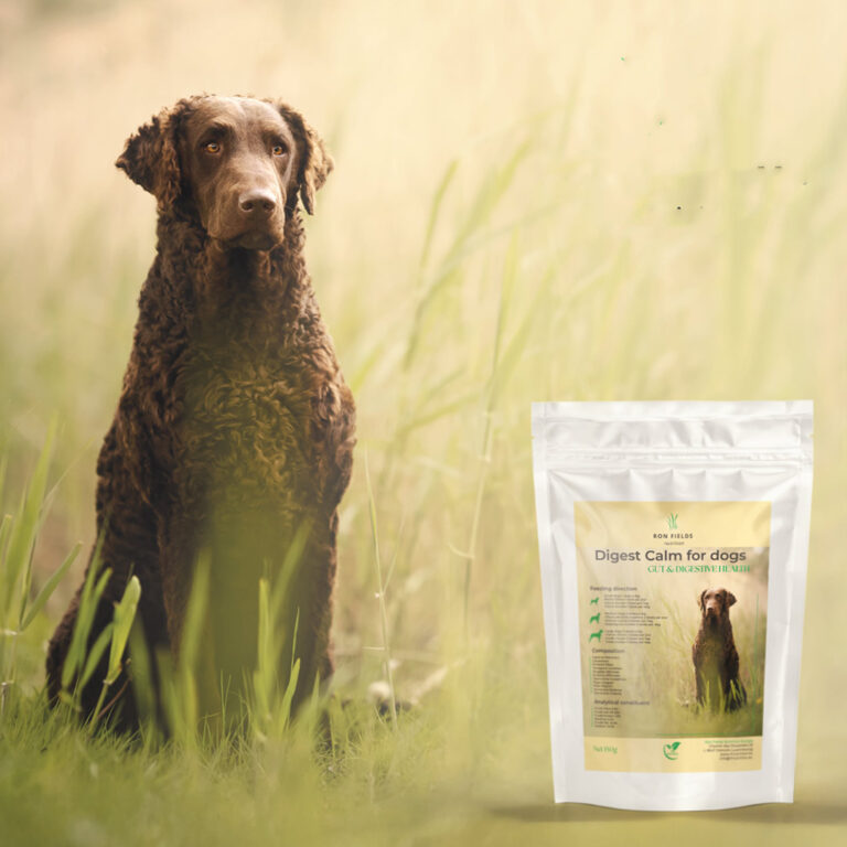 Digest Calm - Natürliche, ayurvedische Verdauungsunterstützung für Hunde