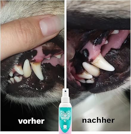 TIERLIEBHABER – Dentalspray für Hunde & Katzen entfernt Zahnbelag, 100% natürlich