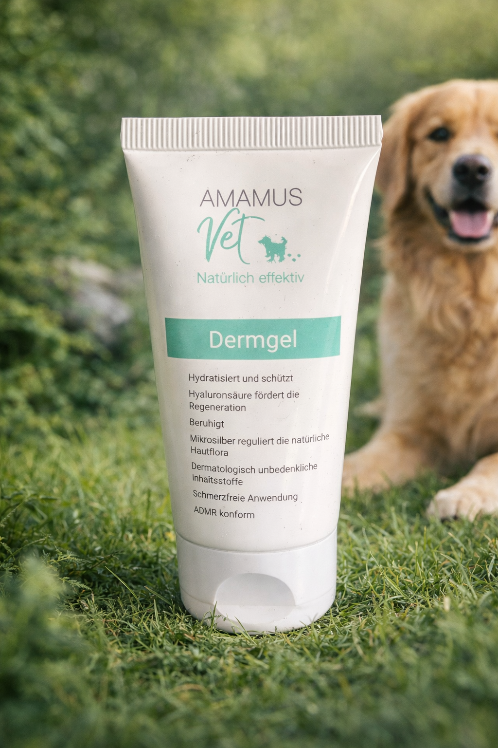 AMAMUS Vet Dermgel für Hunde – Natürlich effektiv bei gereizter Haut