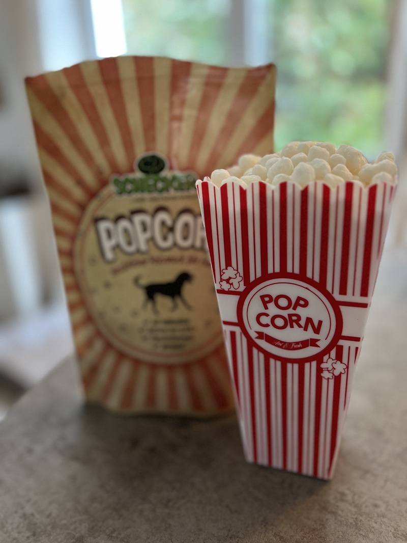 Hunde Popkorn